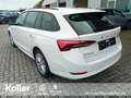 Skoda Octavia Octavia Combi 1.4 TSI iV DSG Navi beh.Lenkrad  LED Weiß - thumbnail 6