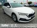 Skoda Octavia Octavia Combi 1.4 TSI iV DSG Navi beh.Lenkrad  LED Weiß - thumbnail 3