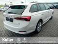 Skoda Octavia Octavia Combi 1.4 TSI iV DSG Navi beh.Lenkrad  LED Weiß - thumbnail 4