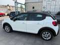 Citroen C3 c 3 hdi  shine Bianco - thumbnail 6