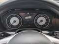 Volkswagen Touareg Edition TDI SCR 4MOTION Grau - thumbnail 14