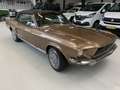 Ford Mustang Cabrio Automaat ( Nette Auto ) - thumbnail 4