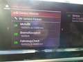 BMW X4 xDrive20i Aut. Grau - thumbnail 32
