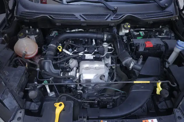 Ford Ecosport view 19