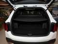 Kia Sorento 2.2 CRDi DCT AWD Platinum Panorama 360° Weiß - thumbnail 6