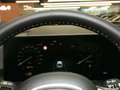 Kia Sorento 2.2 CRDi DCT AWD Platinum Panorama 360° Weiß - thumbnail 19