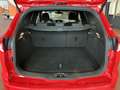 Ford Focus Sb. 1.5 EcoB. T Black&Red Edition 182 Rood - thumbnail 12