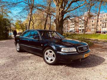 4D / D2 4.2 quattro