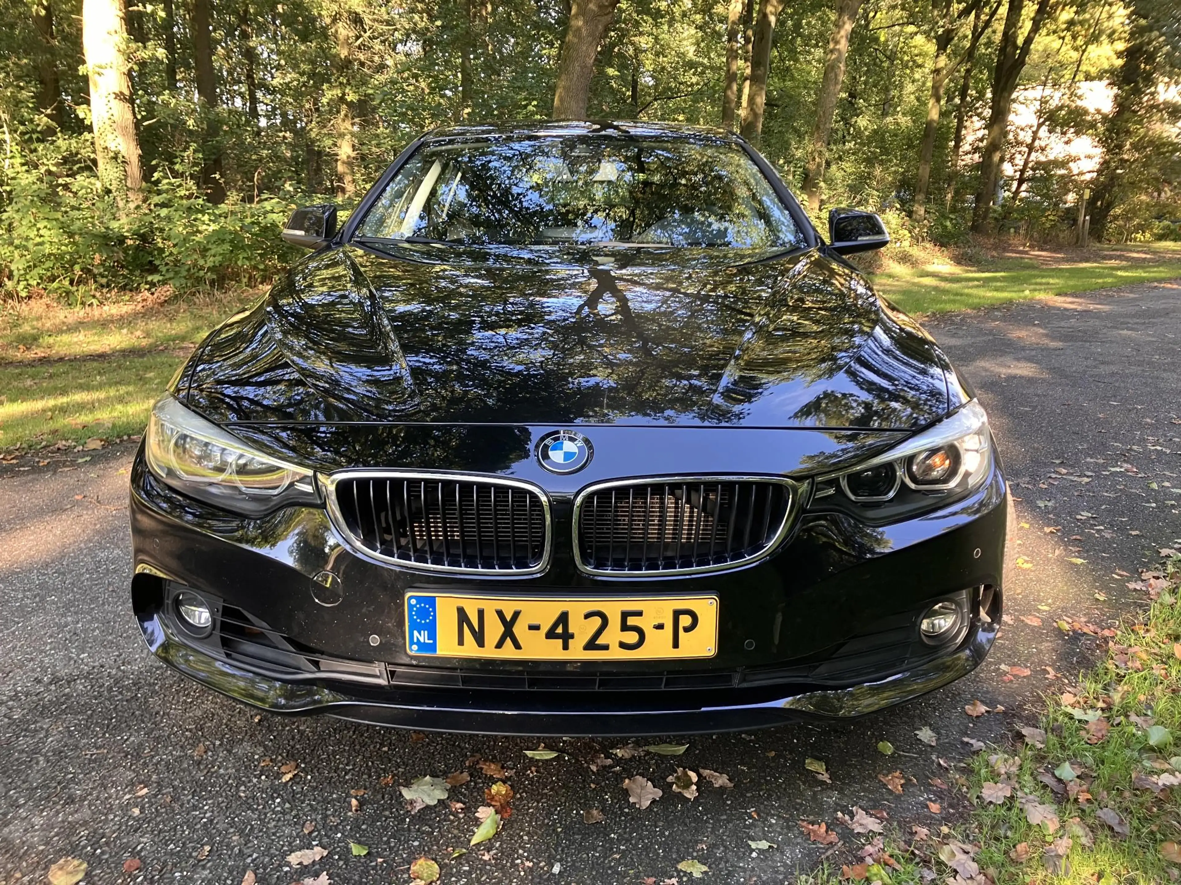 BMW 418 4-serie Gran Coupé 418i Executive — photo 2