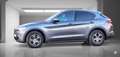 Alfa Romeo Stelvio 2.2 Turbo Diesel 160CV Super AT8 RWD 2022 Gris - thumbnail 5