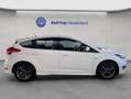 Ford Focus 1.5 TDCi DPF Start-Stopp-System ST-Line Blanc - thumbnail 7