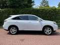 Lexus RX 450h Pearl-white/Zwart leder LED Blanco - thumbnail 13