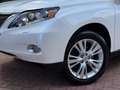 Lexus RX 450h Pearl-white/Zwart leder LED Blanco - thumbnail 6