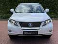 Lexus RX 450h Pearl-white/Zwart leder LED Blanco - thumbnail 15