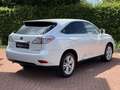 Lexus RX 450h Pearl-white/Zwart leder LED Blanco - thumbnail 4