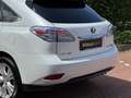 Lexus RX 450h Pearl-white/Zwart leder LED Blanco - thumbnail 12