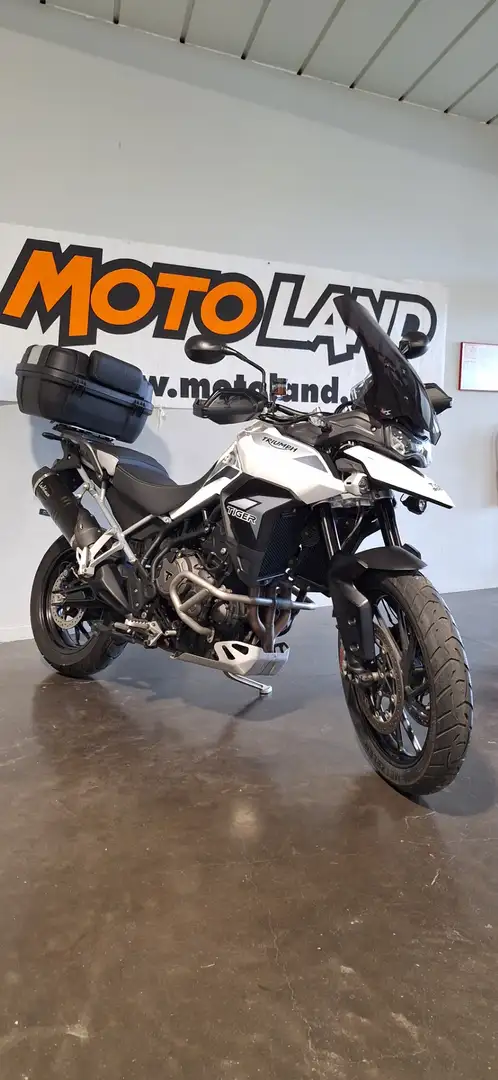 Triumph Tiger 900 Alb - 2
