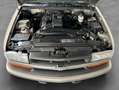 Chevrolet S-10 Pick Up Ausstattung: LS Verkauf gegen Gebot Gold - thumbnail 27
