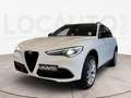 Alfa Romeo Stelvio 2.0 t Executive Q4 280cv auto my19 - PROMO Wit - thumbnail 1