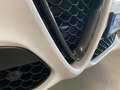 Alfa Romeo Stelvio 2.0 t Executive Q4 280cv auto my19 - PROMO Wit - thumbnail 25