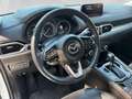 Mazda CX-5 /G194/AWD/AT/REVOLUTION TOP Weiß - thumbnail 12