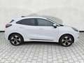 Ford Comfort / KomfortPaket / WinterPaket Alb - thumbnail 9