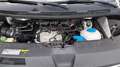 Volkswagen T6 Transporter Bus Caravelle Trendline Blanc - thumbnail 10