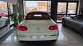 Mercedes-Benz C 220 d  Cabrio d Premium Bianco - thumbnail 10