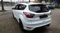 Ford Kuga ST-Line*RFK*SHZ*GRA*ALU Weiß - thumbnail 6