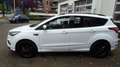 Ford Kuga ST-Line*RFK*SHZ*GRA*ALU Weiß - thumbnail 7