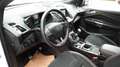 Ford Kuga ST-Line*RFK*SHZ*GRA*ALU Weiß - thumbnail 14