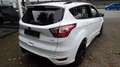 Ford Kuga ST-Line*RFK*SHZ*GRA*ALU Weiß - thumbnail 5