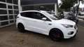 Ford Kuga ST-Line*RFK*SHZ*GRA*ALU Weiß - thumbnail 3