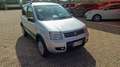 Fiat Panda 1.2 4x4 Climbing Gris - thumbnail 8