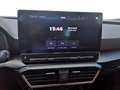 CUPRA Formentor Formentor 1.5 tsi 150cv dsg Grigio - thumbnail 12