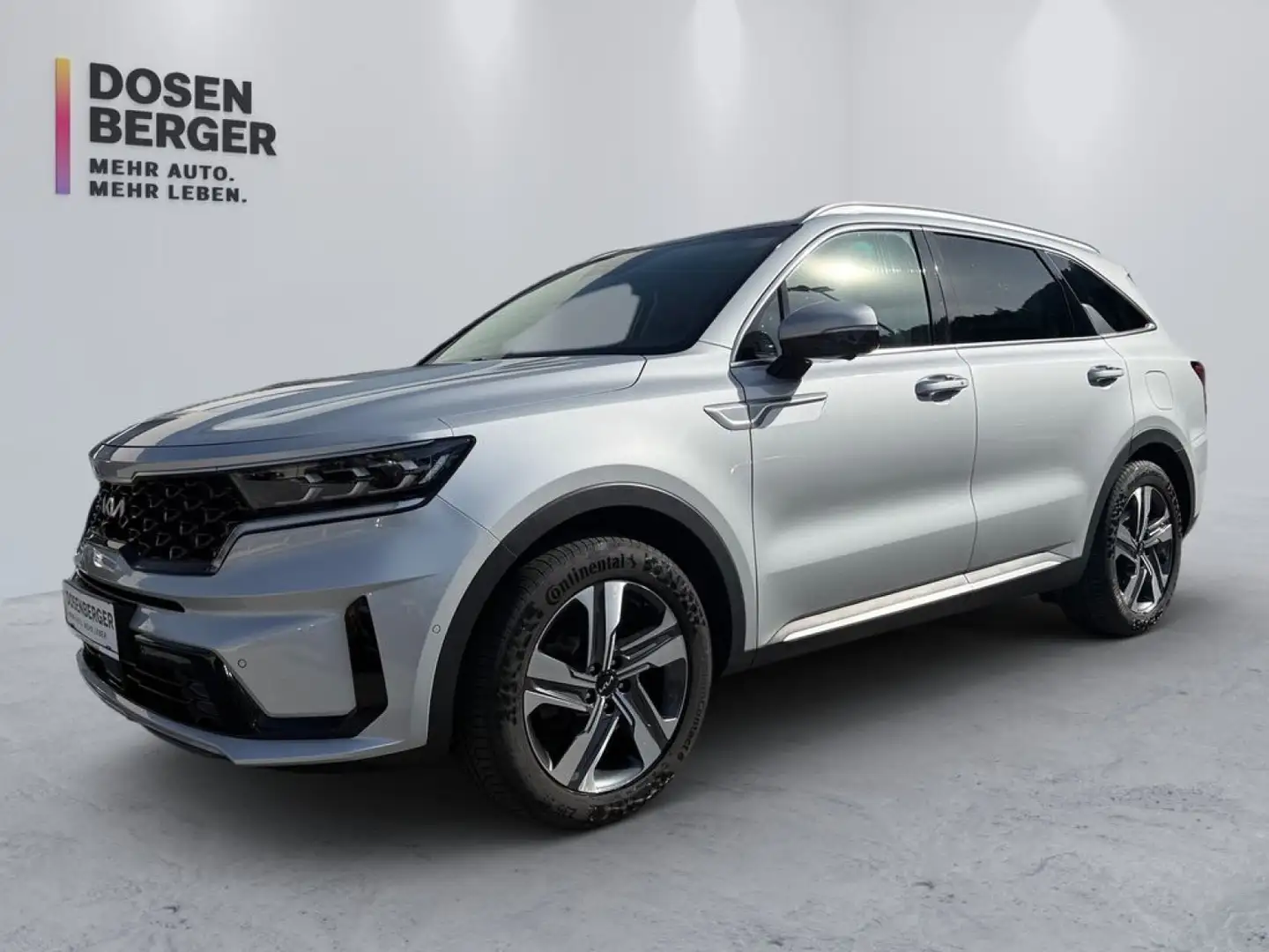 Kia Sorento Sorento Grau - 1
