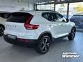 Volvo XC40 B4 B DKG Plus Dark Fahrerassistenz+Licht Pake Weiß - thumbnail 6