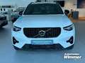 Volvo XC40 B4 B DKG Plus Dark Fahrerassistenz+Licht Pake Weiß - thumbnail 15