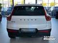 Volvo XC40 B4 B DKG Plus Dark Fahrerassistenz+Licht Pake Weiß - thumbnail 5