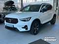 Volvo XC40 B4 B DKG Plus Dark Fahrerassistenz+Licht Pake Weiß - thumbnail 3