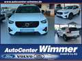 Volvo XC40 B4 B DKG Plus Dark Fahrerassistenz+Licht Pake Weiß - thumbnail 1