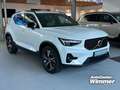 Volvo XC40 B4 B DKG Plus Dark Fahrerassistenz+Licht Pake Weiß - thumbnail 7
