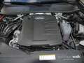 Audi A6 Avant 40 TDI design qu Stronic AHK/NAVI/ACC/RFK Black - thumbnail 15