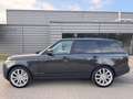 Land Rover Range Rover Vogue D350/MOTOR NEU bei LAND ROVER Gris - thumbnail 4