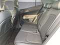 Kia Sportage 1.6 CRDI 48V Gold AWD DCT Weiß - thumbnail 12