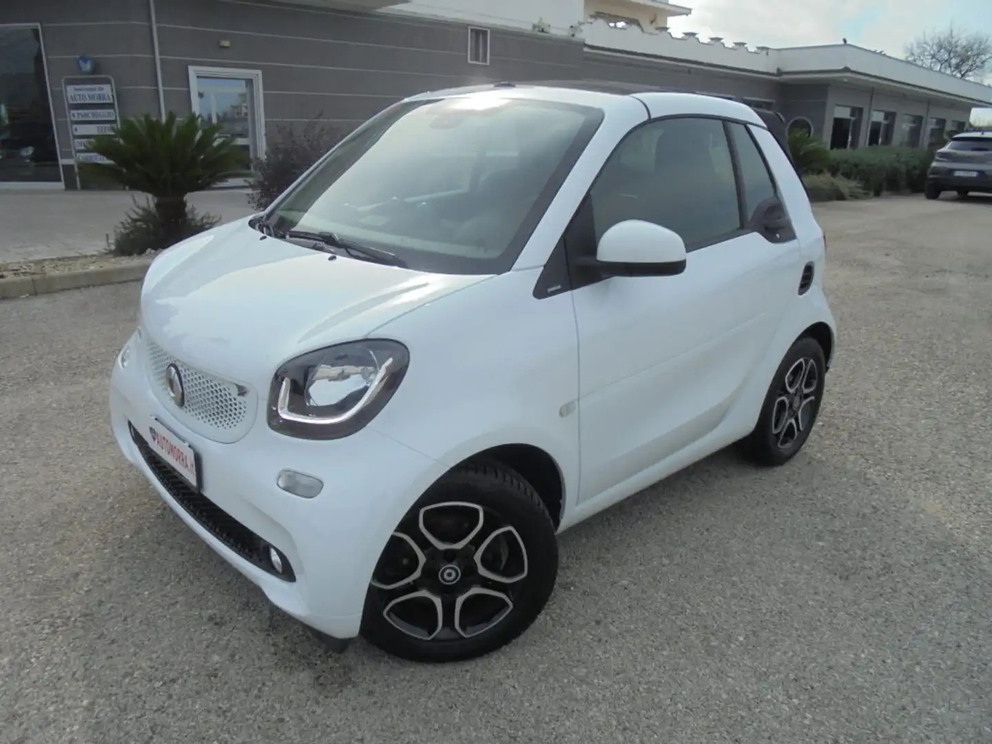 smart forTwo 1.0 twinamic cabrio Passion n°35 Blanc - 2