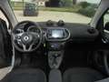 smart forTwo 1.0 twinamic cabrio Passion n°35 Blanc - thumbnail 16
