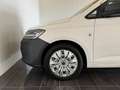 Volkswagen Caddy Caddy Maxi Cargo 2,0 TDI 4MOTION Weiß - thumbnail 9