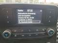 Ford Transit Kasten 2,0 EcoBlue AWD L2H2 350 Blau - thumbnail 17