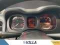 Fiat Panda 1.0 firefly hybrid s&s 70cv 5p.ti Bianco - thumbnail 12